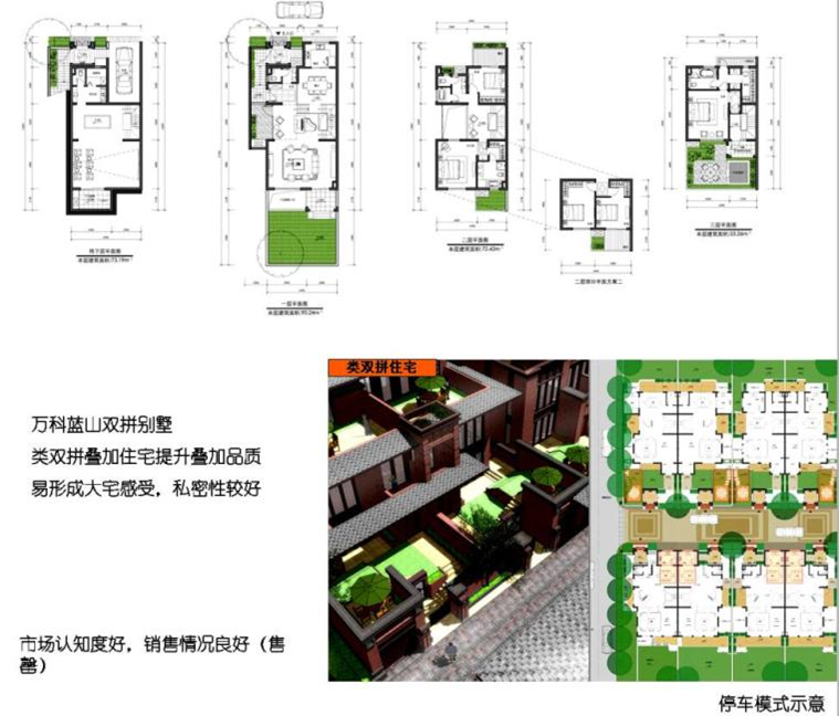 联排别墅250以上平米户型设计图 