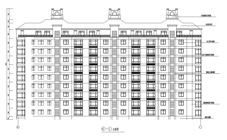 9层阁楼3单元每单元2户住宅楼设计图