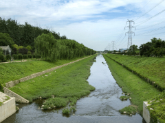 河道治理工程施工图