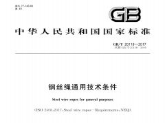 GBT20118-2017 钢丝绳通用技术条件