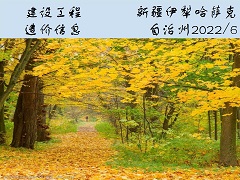 新疆伊犁哈萨克霍尔果斯市2022年6月份建设工程价格信息(土建)