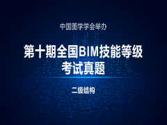 第十期全国BIM技能等级考试二级（结构）试题