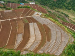 某土地整理工程专项施工组织设计方案