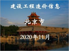 2020年11月北京信息价