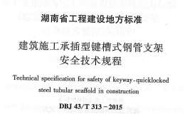 DBJ43/T313-2015建筑施工承插型鍵槽式鋼管支架安全技術(shù)規(guī)程