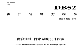 DB52T1383-2018岩溶洼地排水系统设计指南