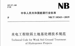 NBT 10343-2019 水电工程软弱土地基处理技术规范