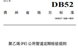 DB52T 1602-2021 聚乙烯（PE）公用管道定期检验规则