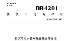 DB4201T650-2021 武漢市排水管網(wǎng)隱患數(shù)據(jù)庫標(biāo)準(zhǔn)