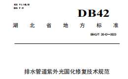 DB42T2042-2023 排水管道紫外光固化修復(fù)技術(shù)規(guī)范