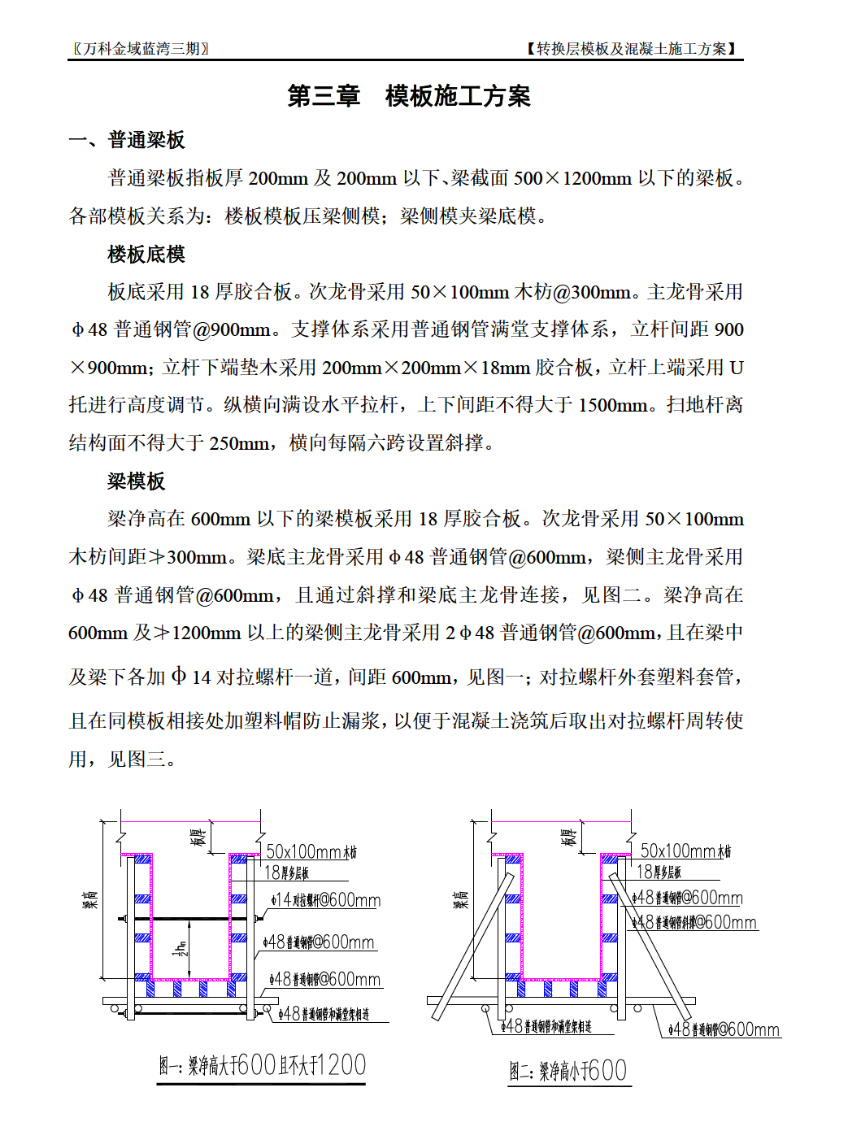 金域藍(lán)灣三期轉(zhuǎn)換層模板及混凝土施工組織設(shè)計(jì)