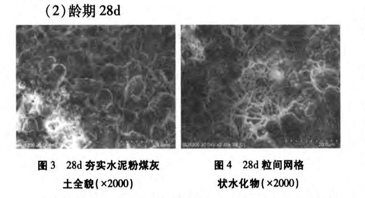 夯實(shí)水泥粉煤灰土固化機(jī)理及微觀結(jié)構(gòu)分析