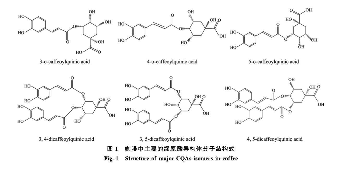 綠原酸協(xié)同抗氧化機(jī)理的電化學(xué)和光譜色譜學(xué)研究