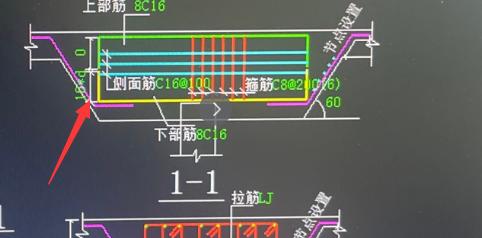 老师，双桩承台云南地区用参数那个图形布置钢筋