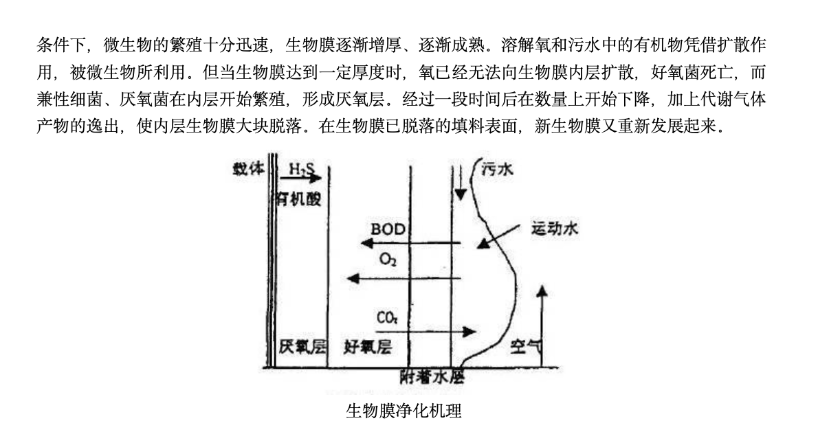 武漢楊泗港長(zhǎng)江大橋技術(shù)創(chuàng)新