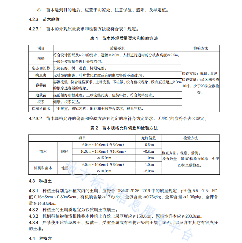 DB4401 T 167—2022 行道樹種植養(yǎng)護(hù)技術(shù)規(guī)范