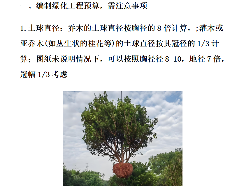 绿化工程预算避坑指南