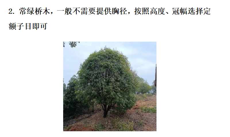 绿化工程预算避坑指南