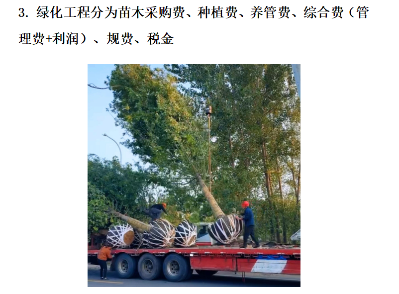 绿化工程预算避坑指南