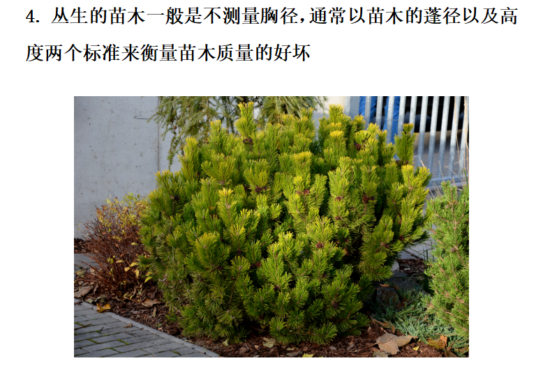 绿化工程预算避坑指南