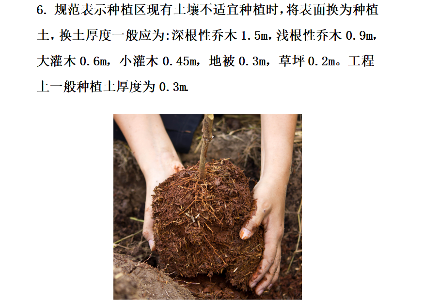 绿化工程预算避坑指南