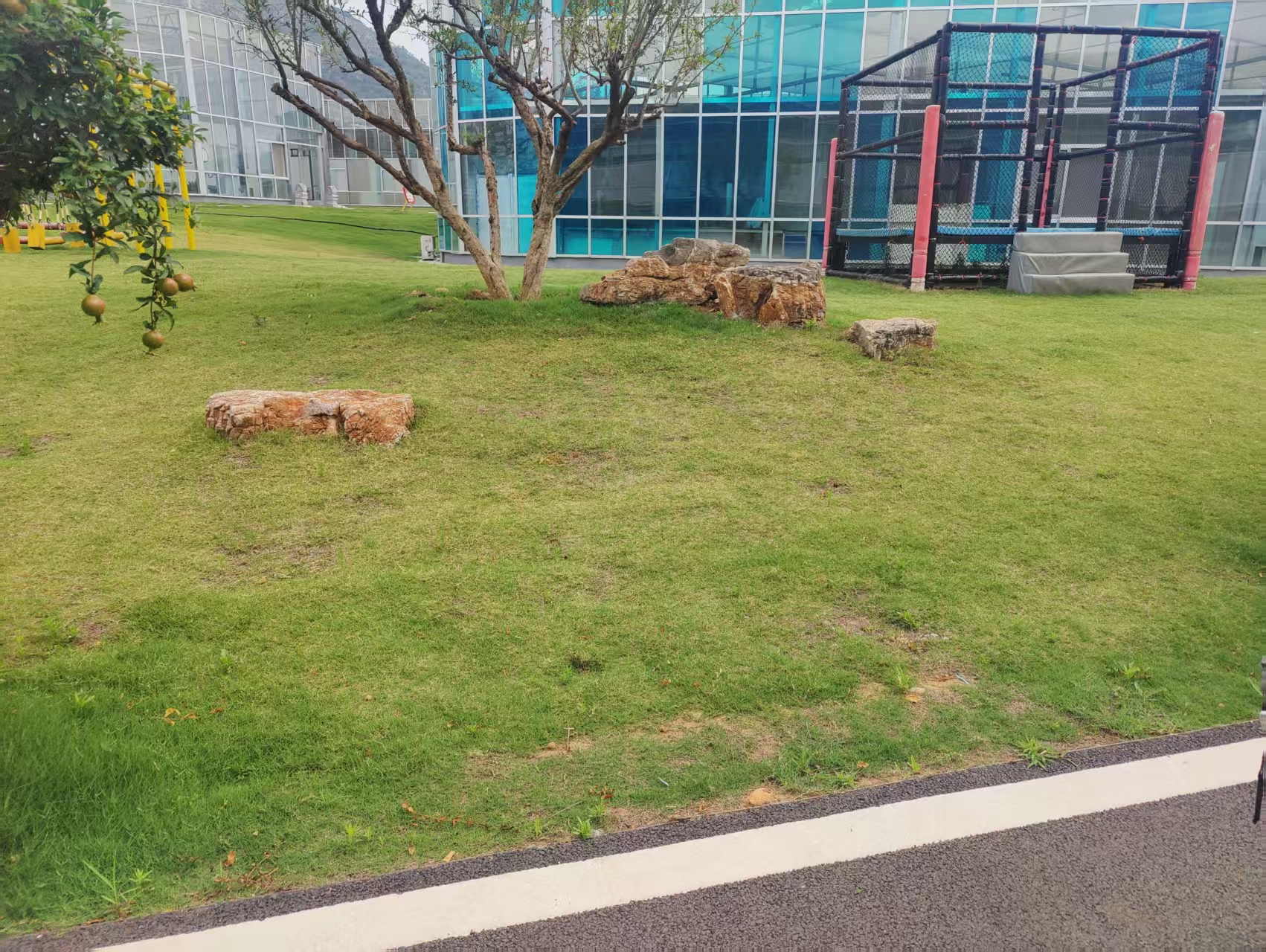 山东省园林绿化工程中，龟纹石放置在草坪上（无基础），定额项套布置景石还是土山点石？