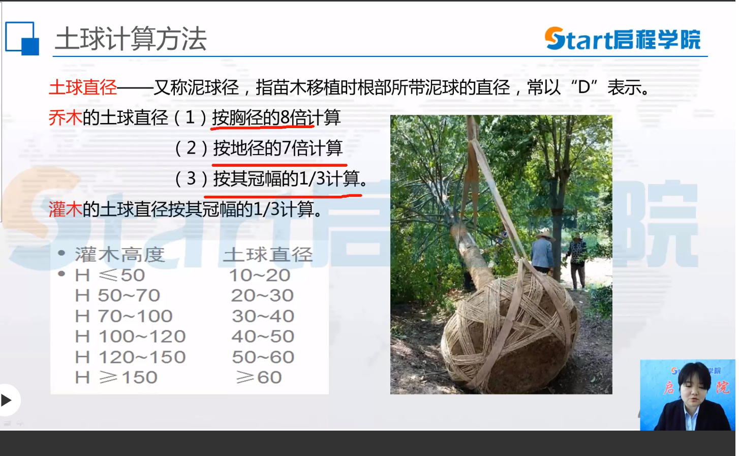 要套乔木银杏的费用，银杏胸径≥14cm,高≥7m,选 栽植带土球定额时，看沈阳定额说明里有个表叫如下截图苗木规格与种植穴（坑）、槽规格对照表，是否是按这个表选 乔木土球的规格，还是与这个表没有关系，是按胸径的8倍来选 土球的规格？